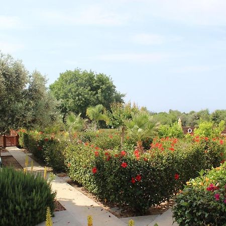 Kavalla Forest Villas Paphos Buitenkant foto