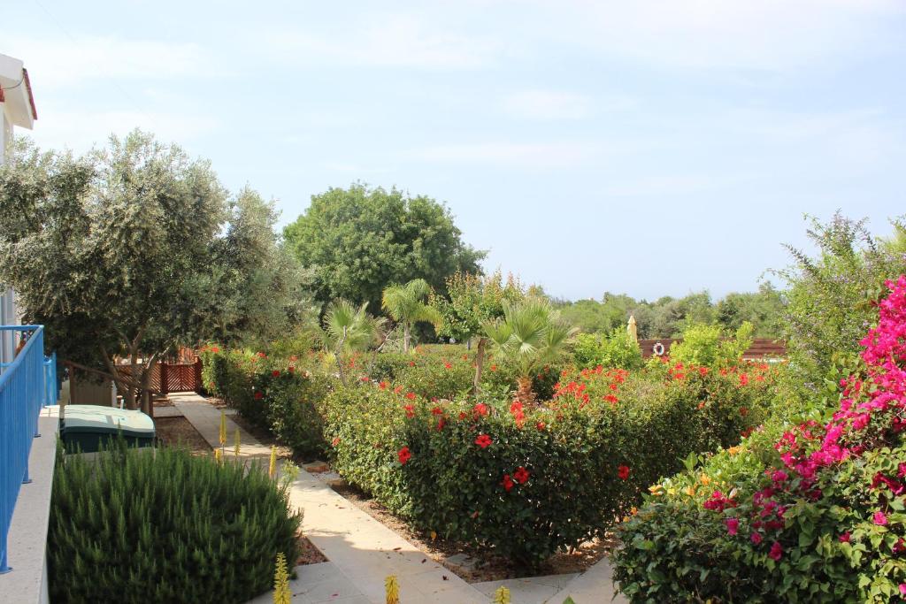 Kavalla Forest Villas Paphos Buitenkant foto